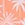 Snapper Rock Kids Cali Palms Sustainable Short Sleeve Sunsuit (Baby) - Image 6