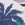 Speedo Vibe Women's Printed Cheeky Hipster Bikini Bottom - Image 3