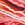 Sporti HydroLast Flash Jammer Swimsuit Youth (22-28) - Image 29