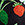 Sporti HydroLast Strawberry Fields Brief Swimsuit (26-40) - Image 11