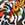 Sporti HydroLast Tiger Mingle Square Leg Swimsuit - Image 10