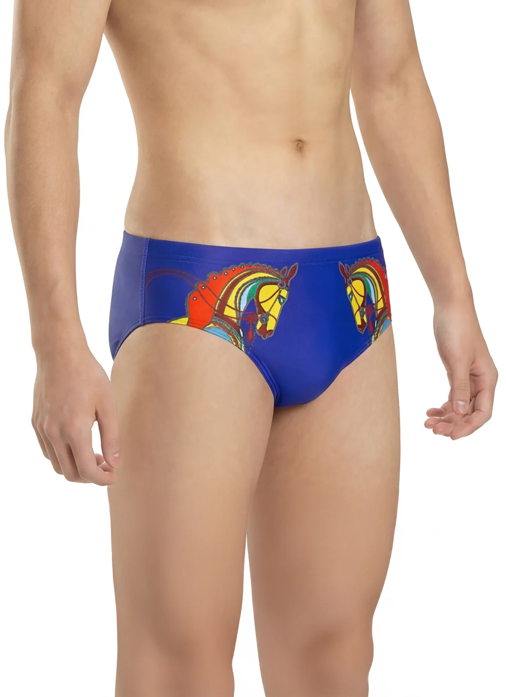 Sporti Limited Edition Imperial Bridle Brief Swimsuit (26-40) - Image 18