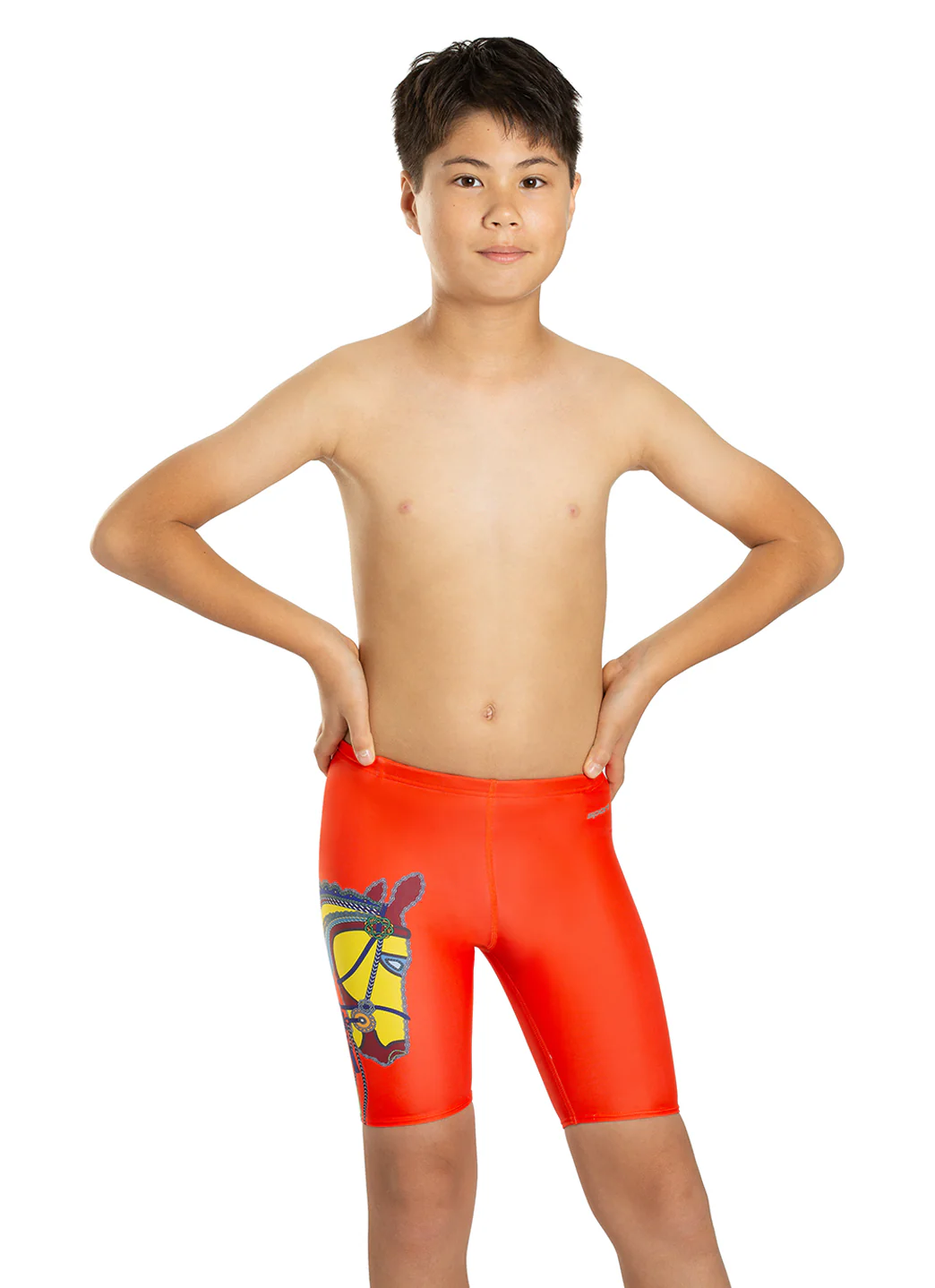 Sporti Limited Edition Imperial Bridle Jammer Swimsuit (22-40) - Image 12