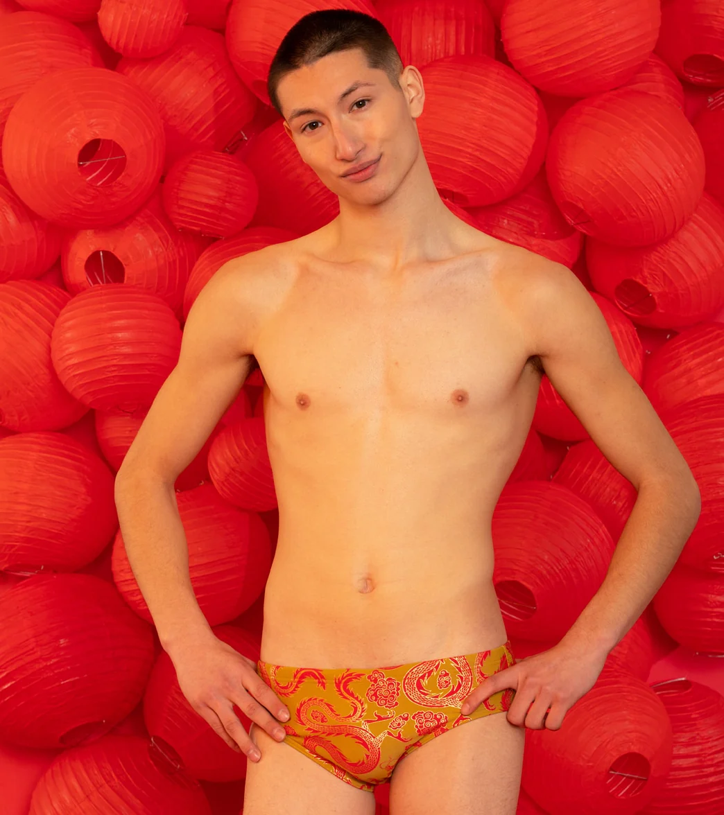 Sporti Lunar Dragon Foil Brief Swimsuit - Image 13