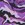 Sporti New Waves Brief Swimsuit Youth (22-28) - Image 7