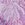 Sporti Plus Size Jungle Floral Moderate Printed Sweetheart One Piece Swimsuit - Image 19