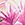 Sporti Plus Size Palm Royale Moderate Printed Sweetheart One Piece Swimsuit - Image 8