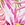Sporti Plus Size Palm Royale Swim Dress - Image 8