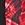 Sporti Sonic Bloom Splice Jammer Swimsuit (22-40) - Image 10