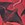 Sporti Stingray Fever Jammer Swimsuit (22-44) - Image 58