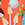 Sporti Toadstool Trails Brief Swimsuit (26-40) - Image 12