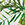 Sporti Unitard Palm Royale One Piece Swimsuit - Image 7