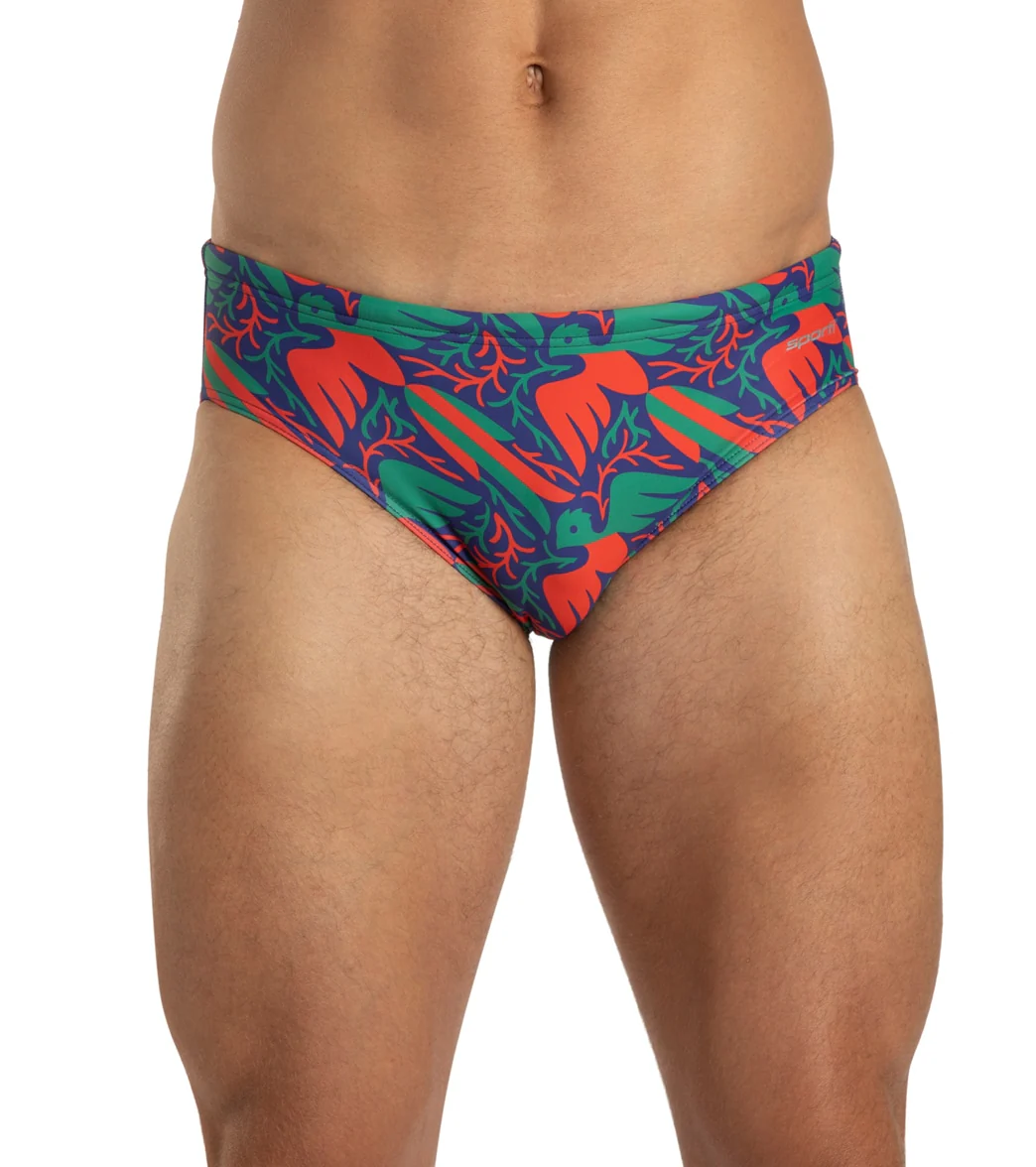 Sporti x Damian Orellana Limited Edition Chichi Brief Swimsuit - Image 6