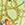 Sporti x Emma Weyant Monaco Treasures Karlie One Piece Swimsuit (26-40) - Image 11