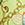Sporti x Emma Weyant Monaco Treasures Thin Strap One Piece Swimsuit Youth (22-28) - Image 3