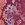 Sporti x Gretchen Walsh Desert Python Tracy Double Strap One Piece Swimsuit - Image 14