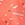 Sporti x Shaine Casas Confetti Jammer Swimsuit (26-40) - Image 15
