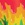 Sporti x Tyler Wallach Limited Edition Studio Drip Jammer Swimsuit Youth (22-28) - Image 4