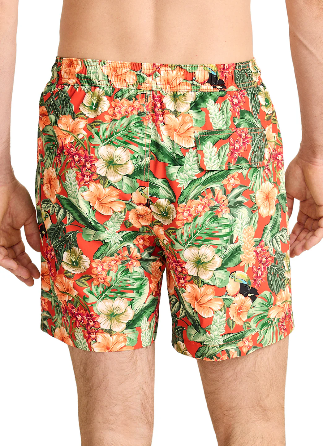 Tommy Bahama Men's Naples Toucan Paradise 6" Inseam Swim Trunks - Image 4