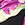 Tommy Bahama Women's Coastal Gardens Twist Front Bandeau Bikini Top - Image 5