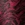 TYR Men's Chroma  Jammer Swimsuit - Image 11