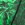 TYR Men's Chroma  Jammer Swimsuit - Image 19