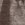 Varley Romney Short - Image 6