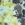 Volcom Men's Iconic Dye SS Tee - Image 3