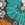 Volcom Women's Nothing Bud Love Vneck Bikini Bottom - Image 6