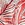 Volcom Women's Sea U Soon Board Shorts - Image 4